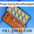 Power Spring Mundflüssigkeit 42